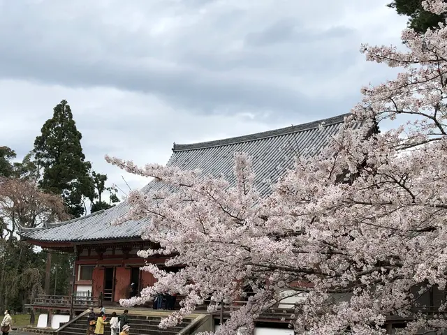 醍醐寺