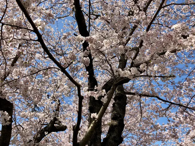 大貞公園