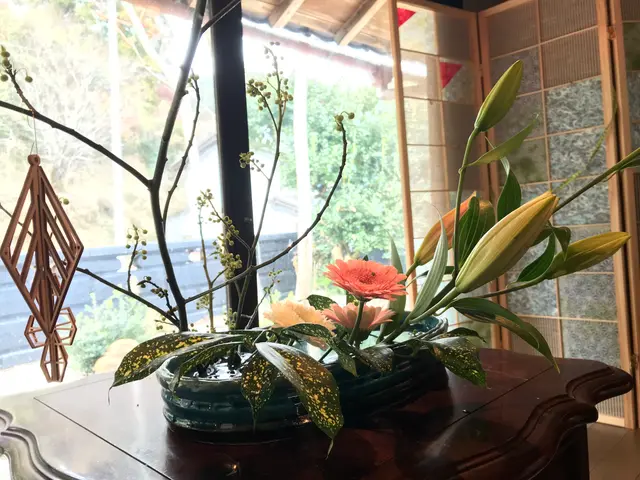 発酵カフェ小春日和