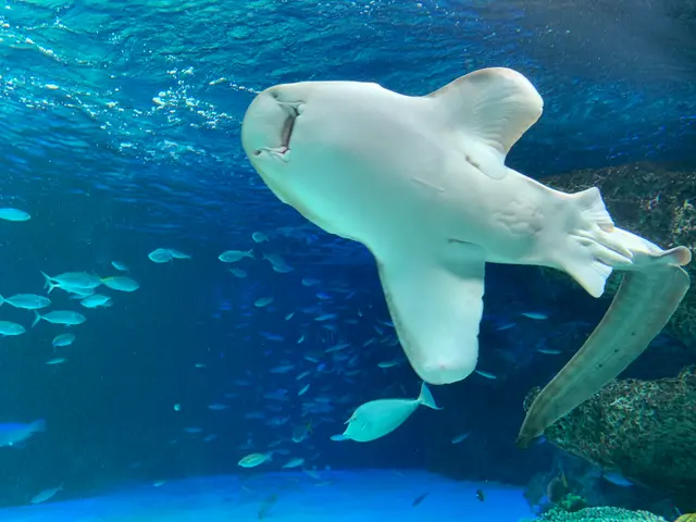 サンシャイン水族館