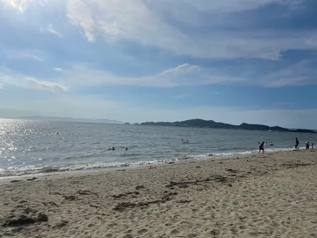 浜の宮ビーチ