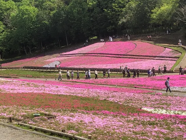 羊山公園