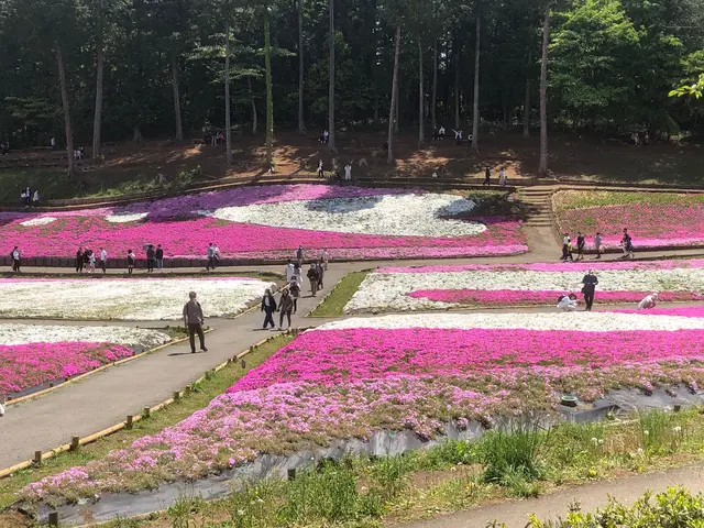 羊山公園