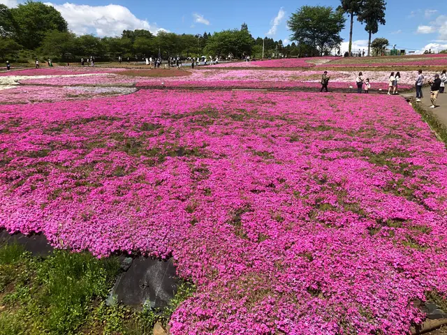 羊山公園