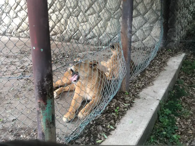 群馬サファリパーク