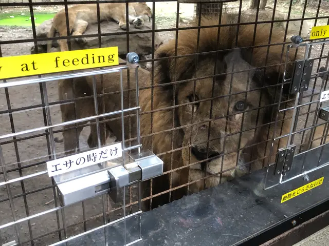 群馬サファリパーク