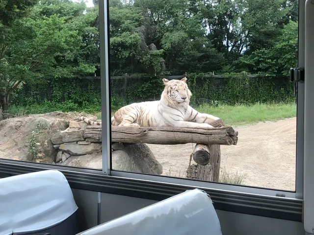 群馬サファリパーク