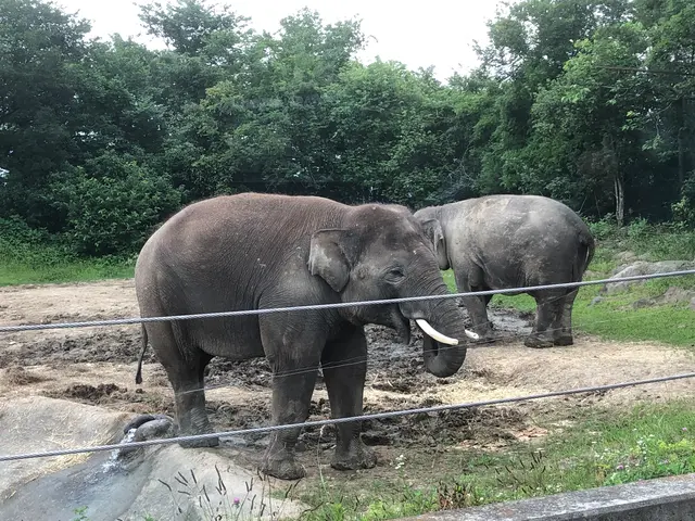 群馬サファリパーク