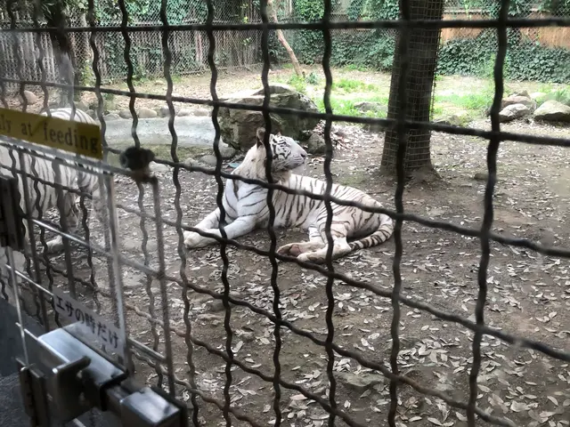 群馬サファリパーク