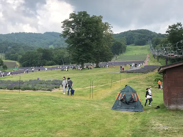 たんばらラベンダーパーク