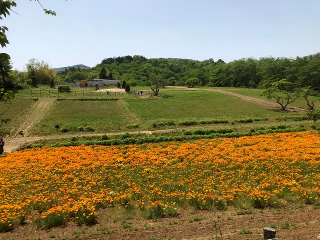 宝登山