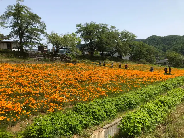 宝登山