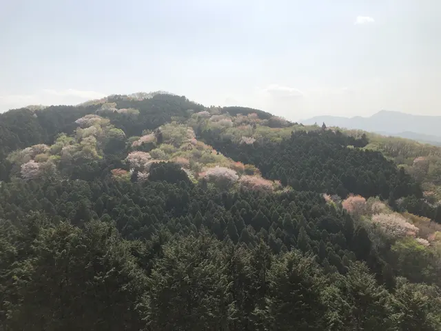 仙元山