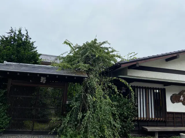 ことぶき