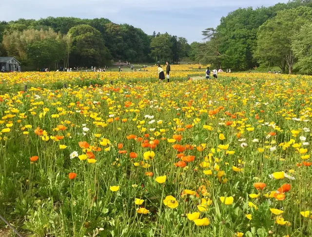 国営武蔵丘陵森林公園