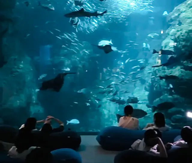 新江ノ島水族館