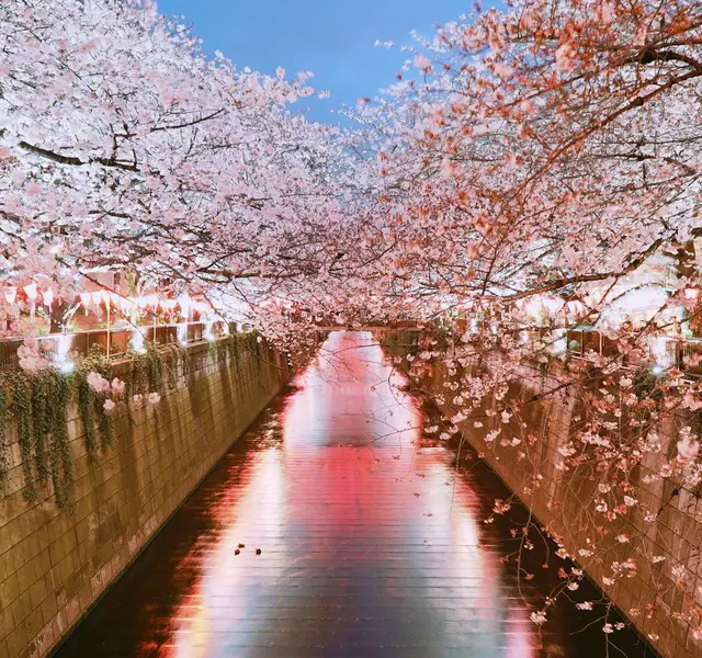 目黒川