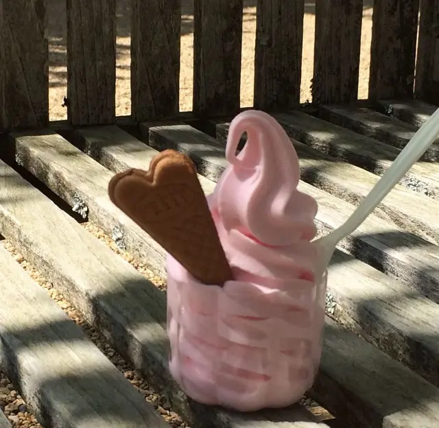 河津バガテル公園