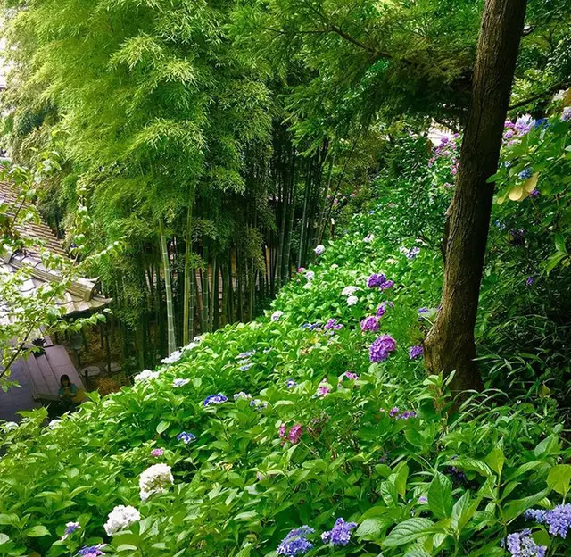 長谷寺