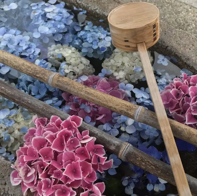 水堂須佐男神社