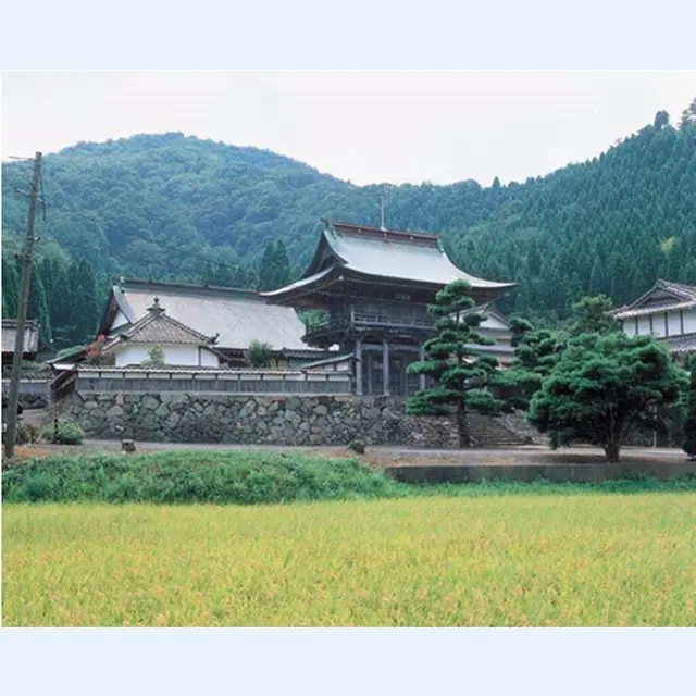 大成寺