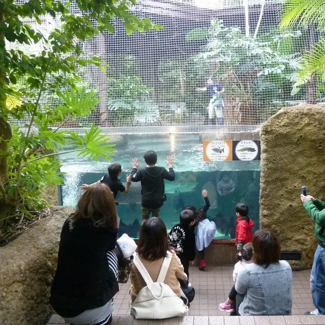 若狭たかはまエルどらんど