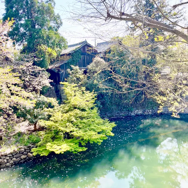 倉安川 吉井水門