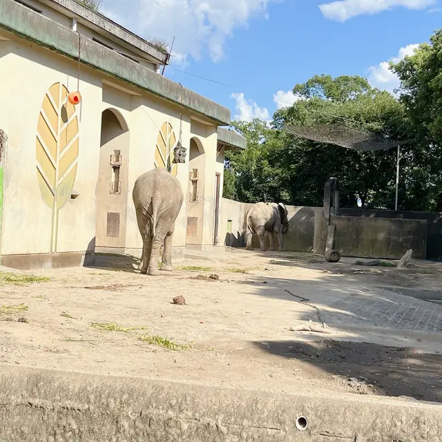 熊本市動植物園