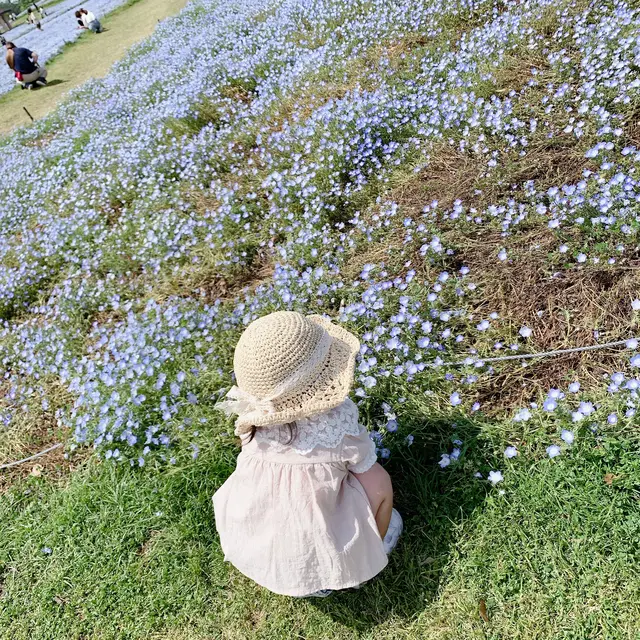 海の中道海浜公園