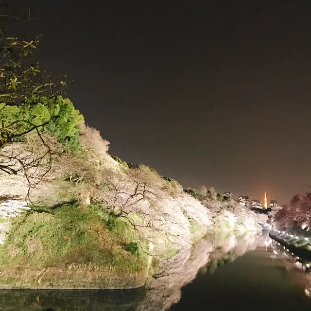 千鳥ヶ淵