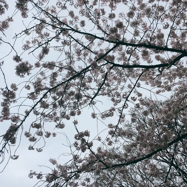 港の見える丘公園