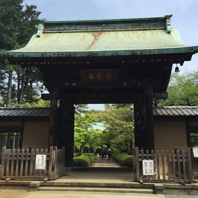 豪徳寺