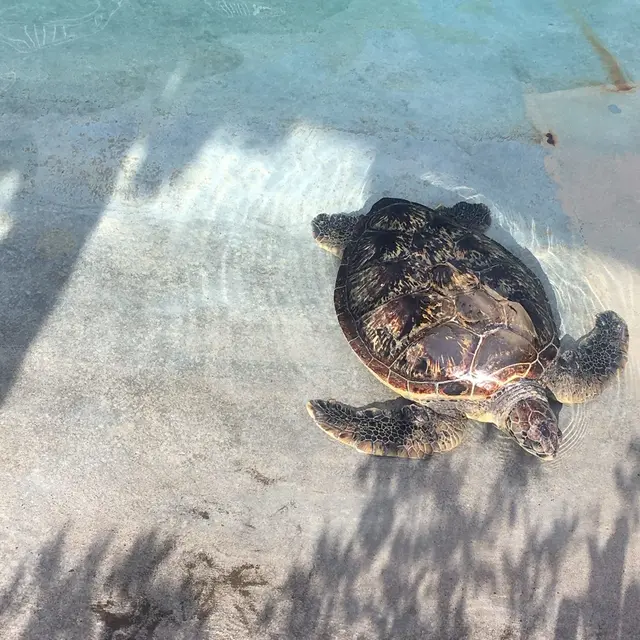 新江ノ島水族館