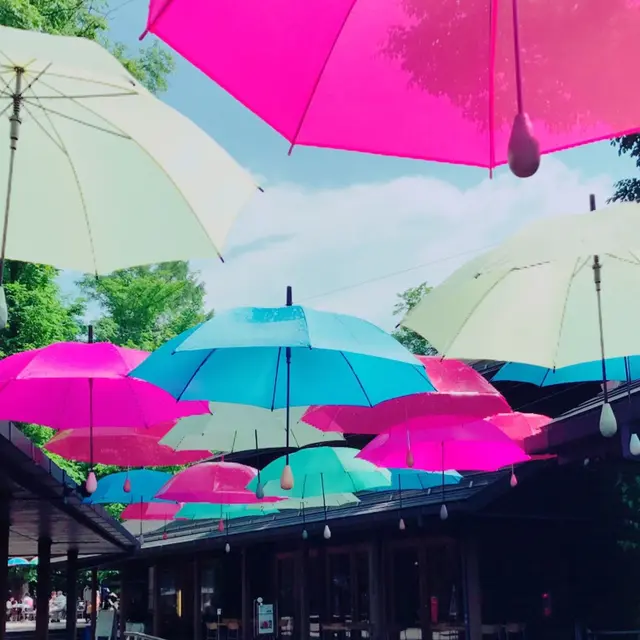 ハルニレテラス