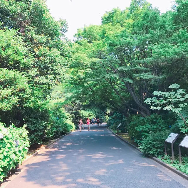 新宿御苑