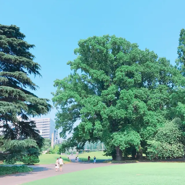 新宿御苑