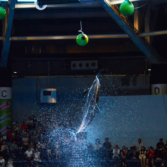 マクセル アクアパーク品川