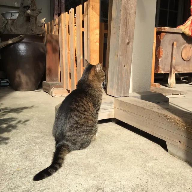 銀杏岡八幡神社
