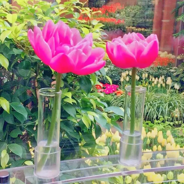 チューリップ四季彩館