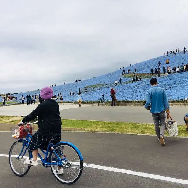 国営ひたち海浜公園