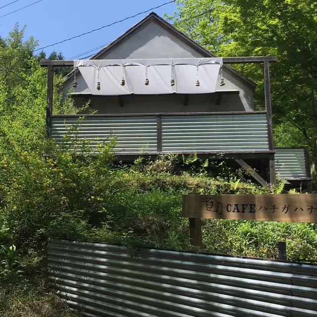 【閉業】アンドシングス ハチガハナ