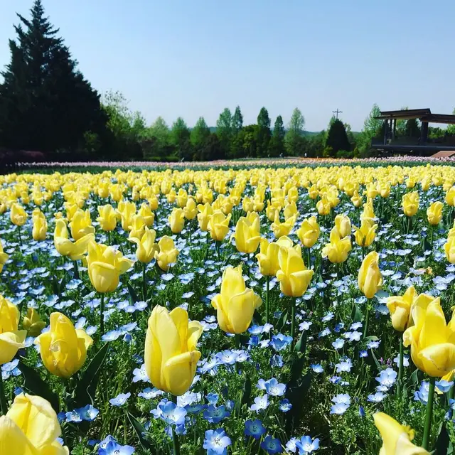 国営備北丘陵公園