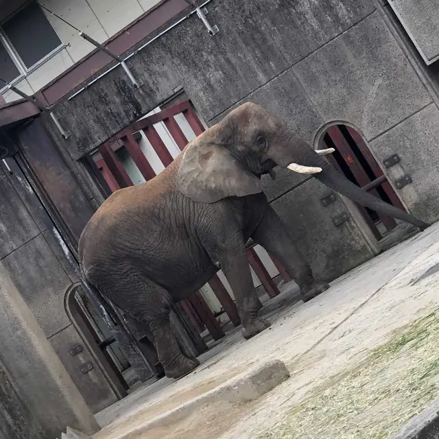とべ動物園