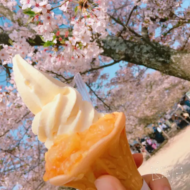 松山城