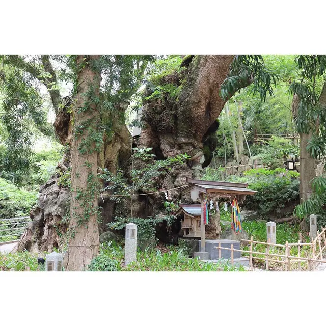 來宮神社
