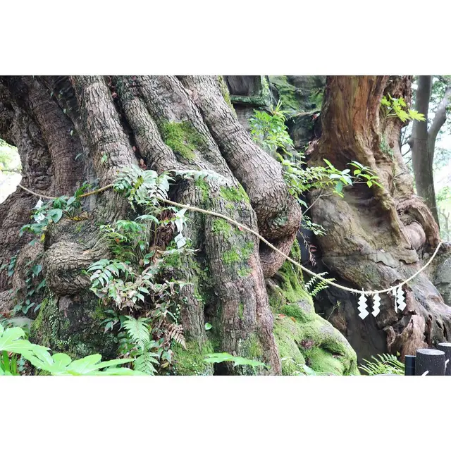 來宮神社