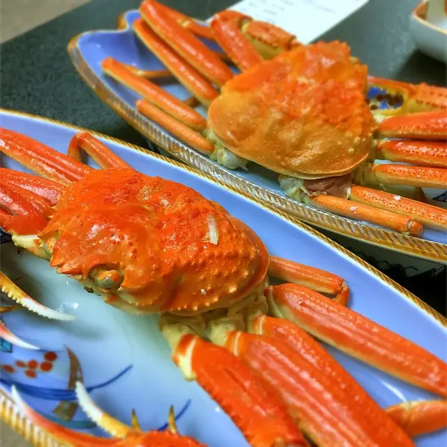あわら温泉 美松