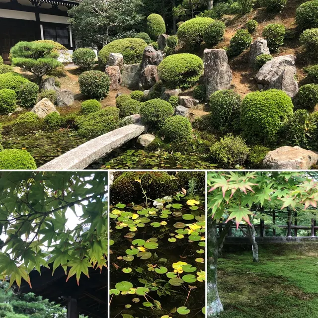 東福寺
