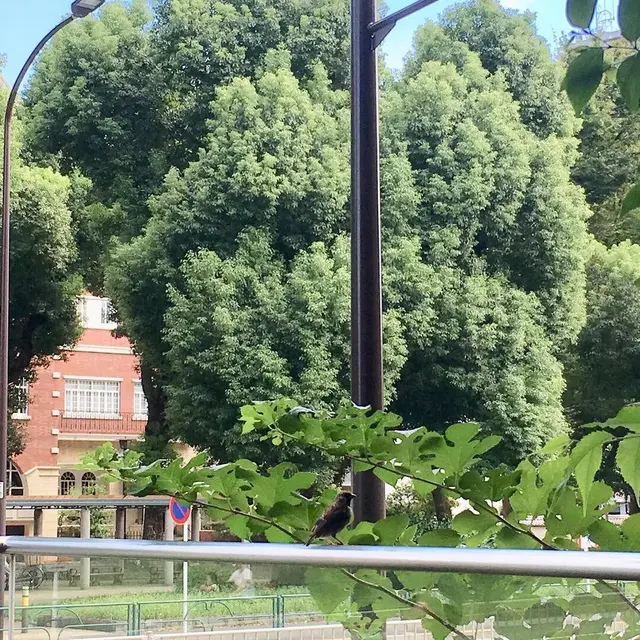 Le Pain Quotidien (ル・パン・コティディアン) 芝公園店