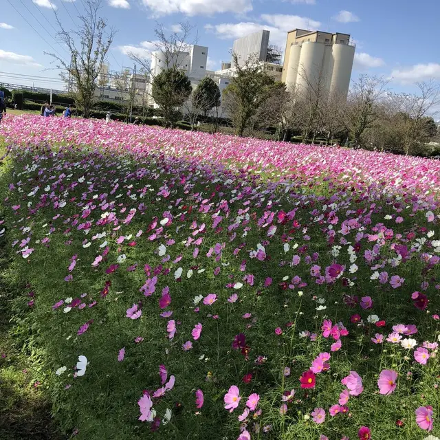 キリンビアファーム KIRIN BEER FARM BEER RESTAURANT